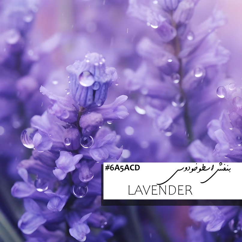 روانشناسی رنگ بنفش و Lavender ؛ آرامش، معنویت و لوکس بودن در دکوراسیون و محصولات مارک گلد