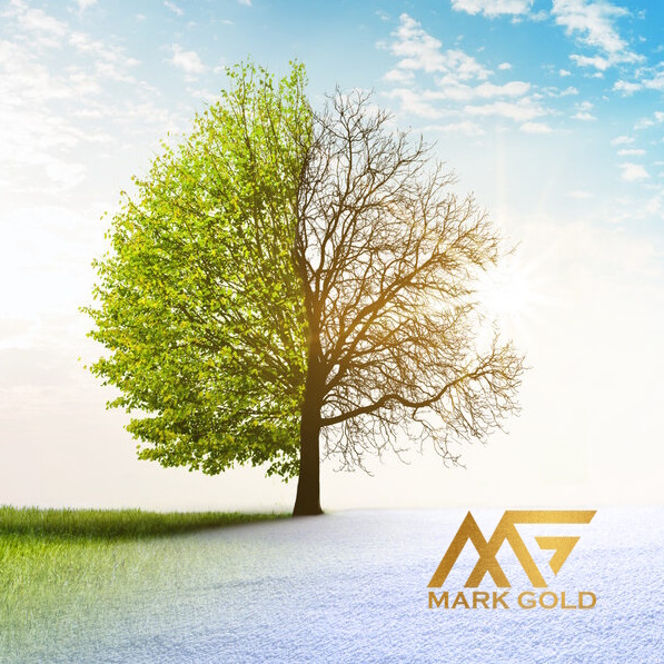 چگونه هر فصل را با هدیه خاص خودش جشن بگیریم