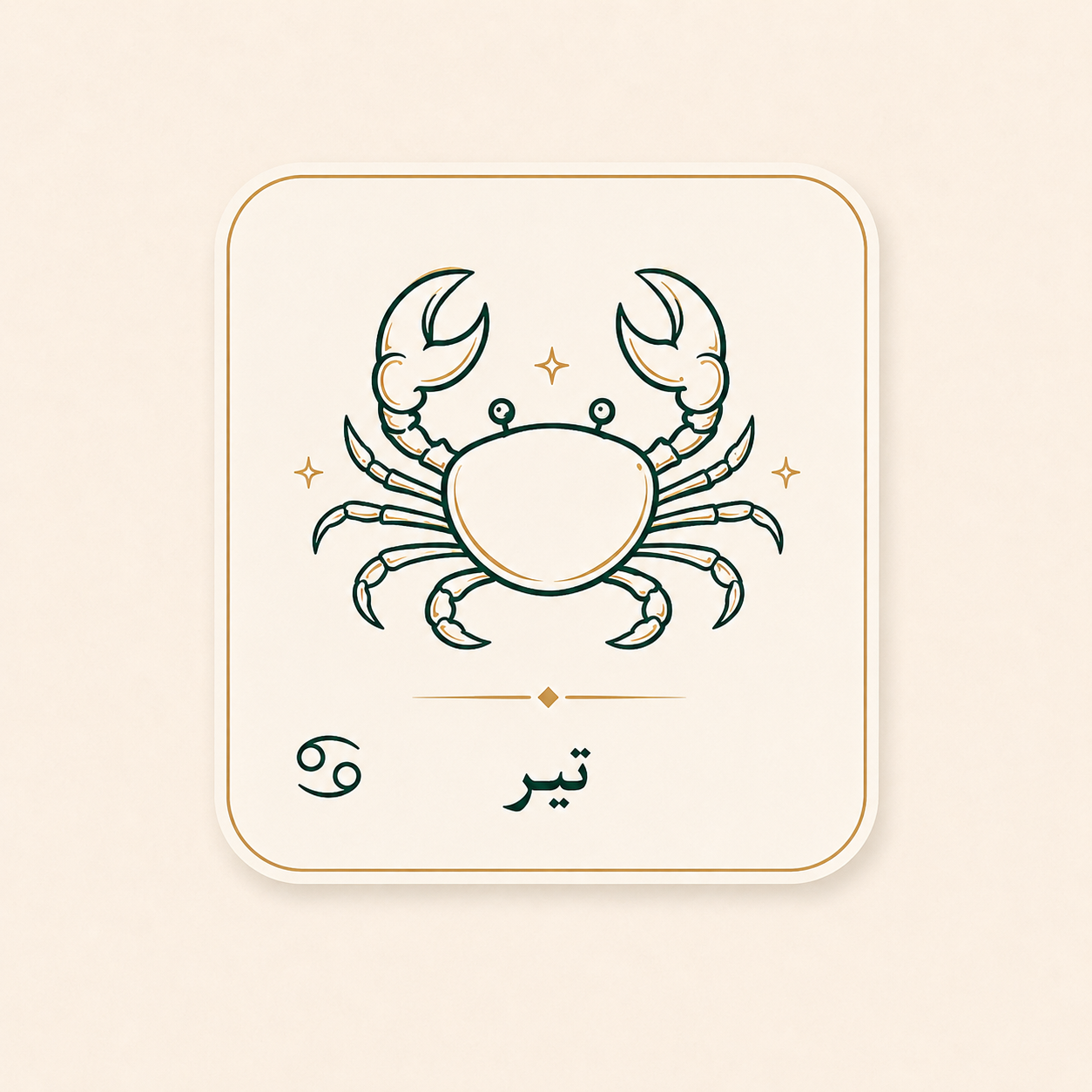 تیر